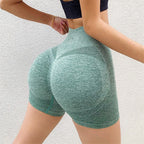 Women’s Sculpt High-Waist Gym Shorts